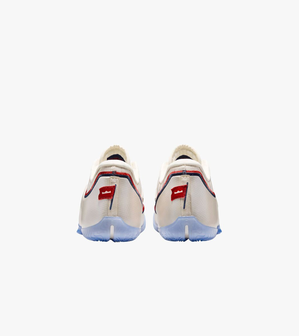 Įvairiaspalvė Lebron xxiii