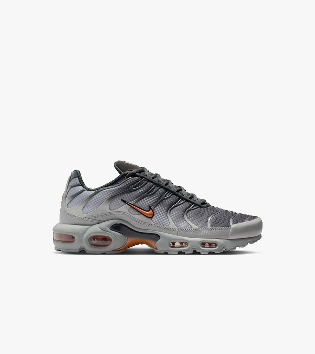 Harmaa NIKE AIR MAX PLUS