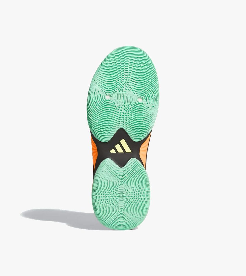 Multicolor D.O.N. ISSUE 8