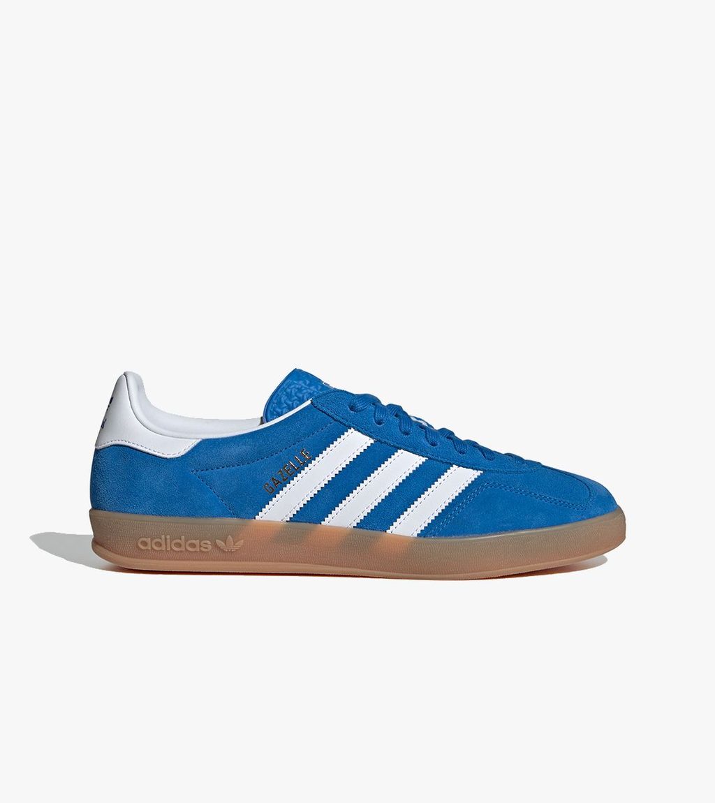 Mėlyna Gazelle indoor
