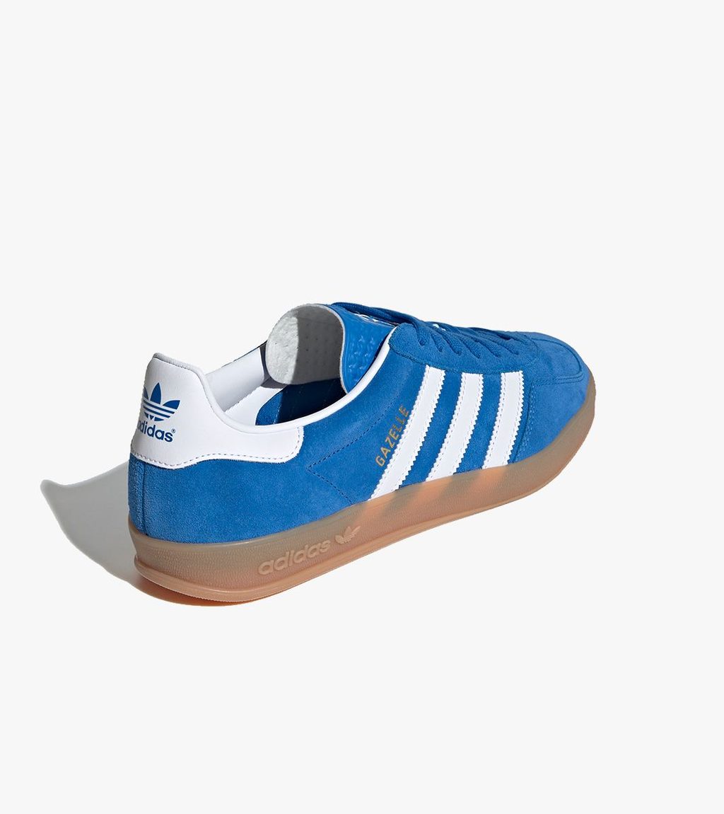 Mėlyna Gazelle indoor