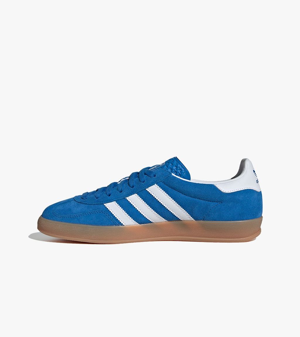 Mėlyna Gazelle indoor