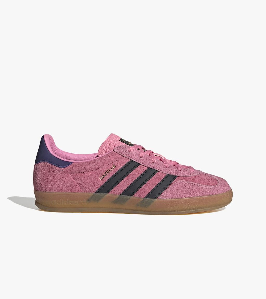 Rosa Gazelle indoor w