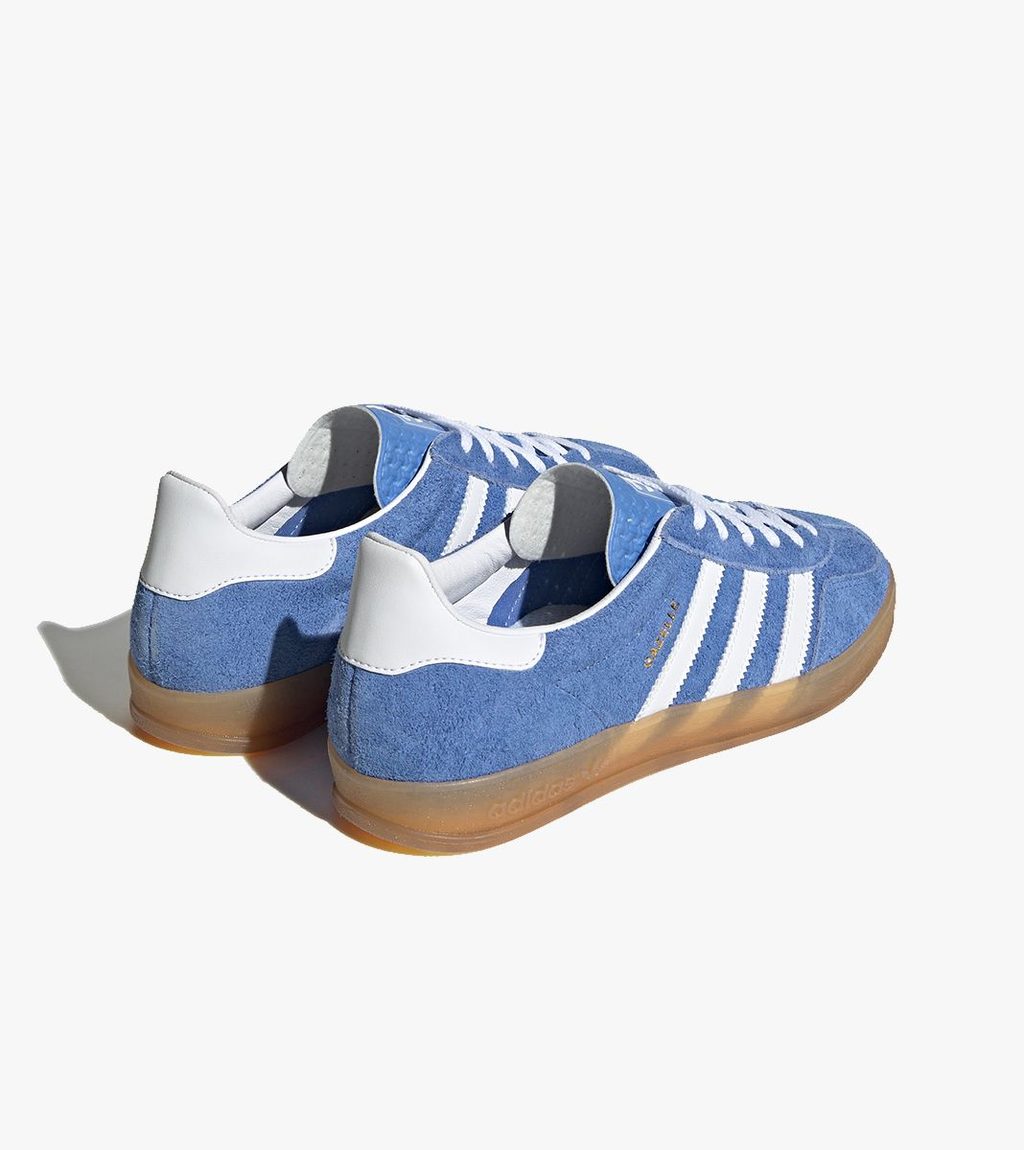 Sinine Gazelle indoor w