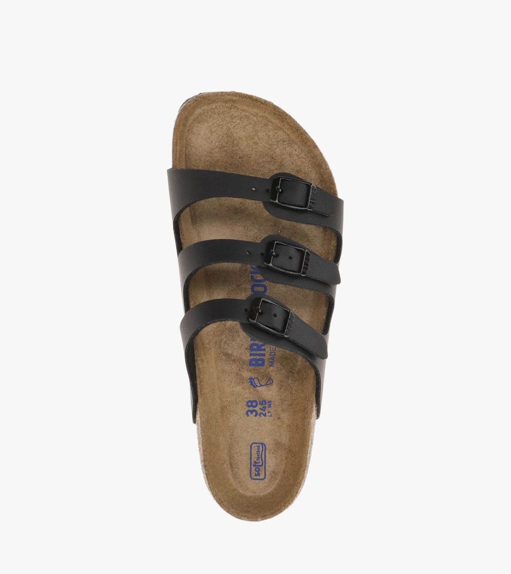 Must Florida sfb bf black