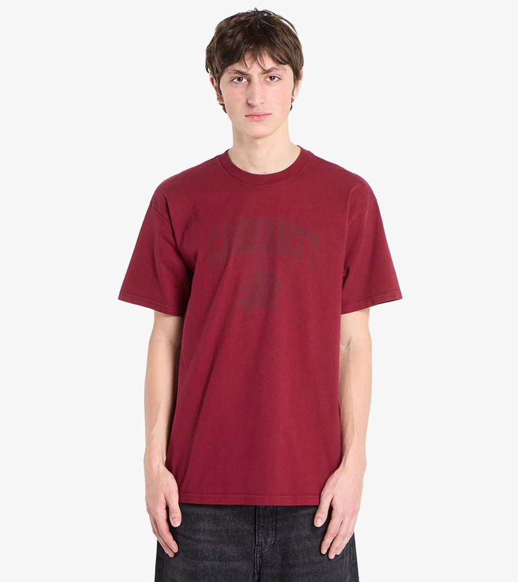 Mitmevärviline S/s faded pond corps t-shirt