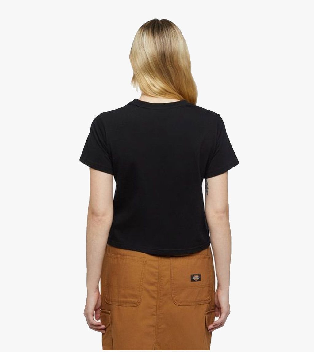 Svart Dickies companion tee ss w