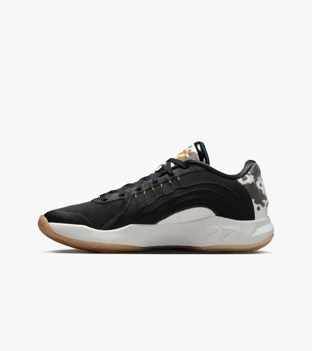 Flerfärgad Jordan luka 4 gone