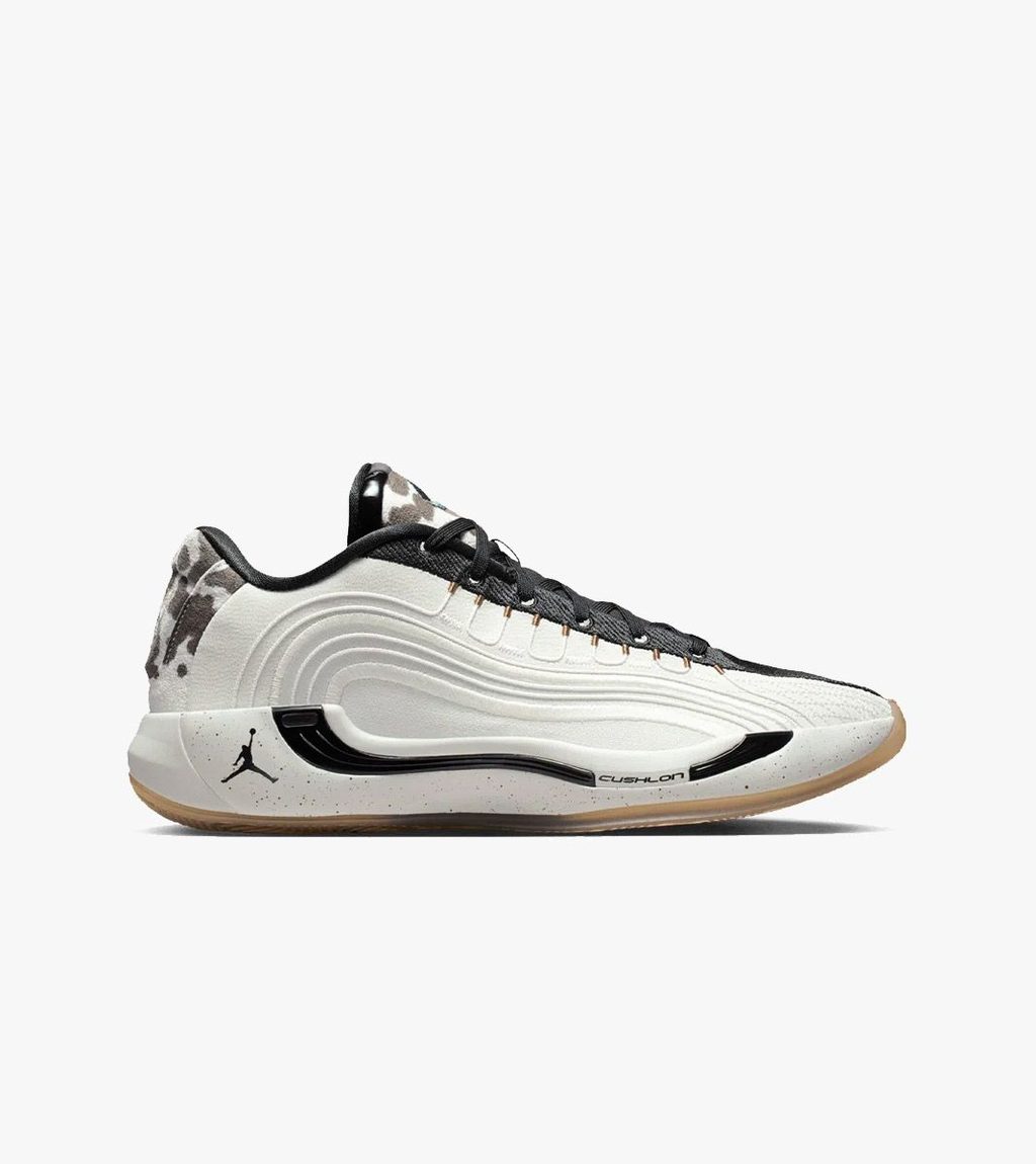 Flerfärgad Jordan luka 4 gone