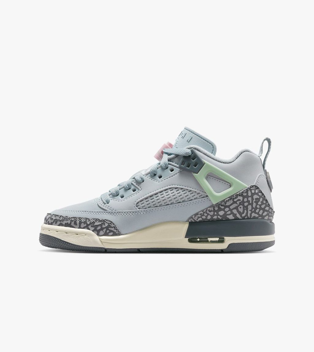Įvairiaspalvė Jordan spizike low (gs)