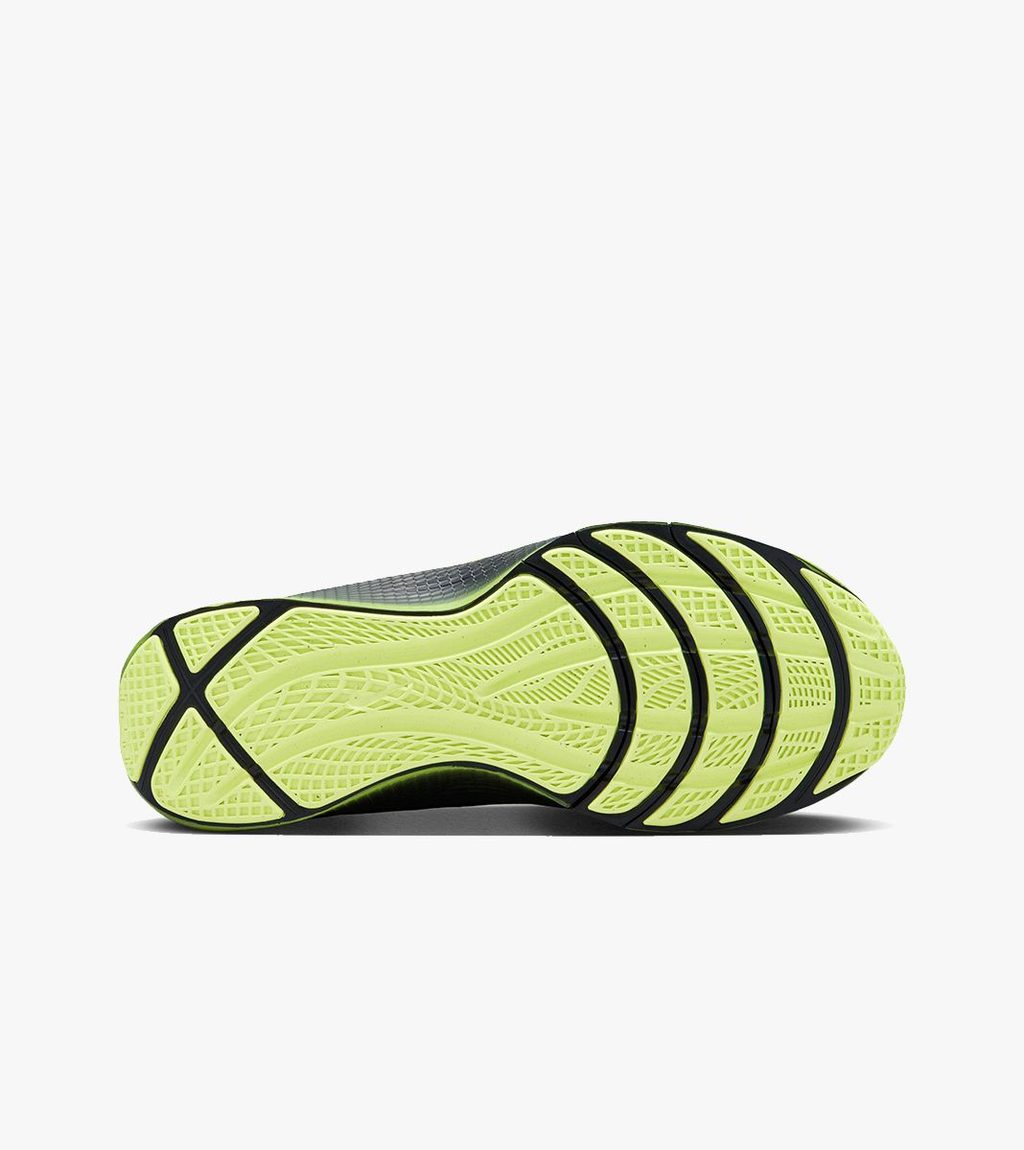 Zaļa LEBRON TR 1