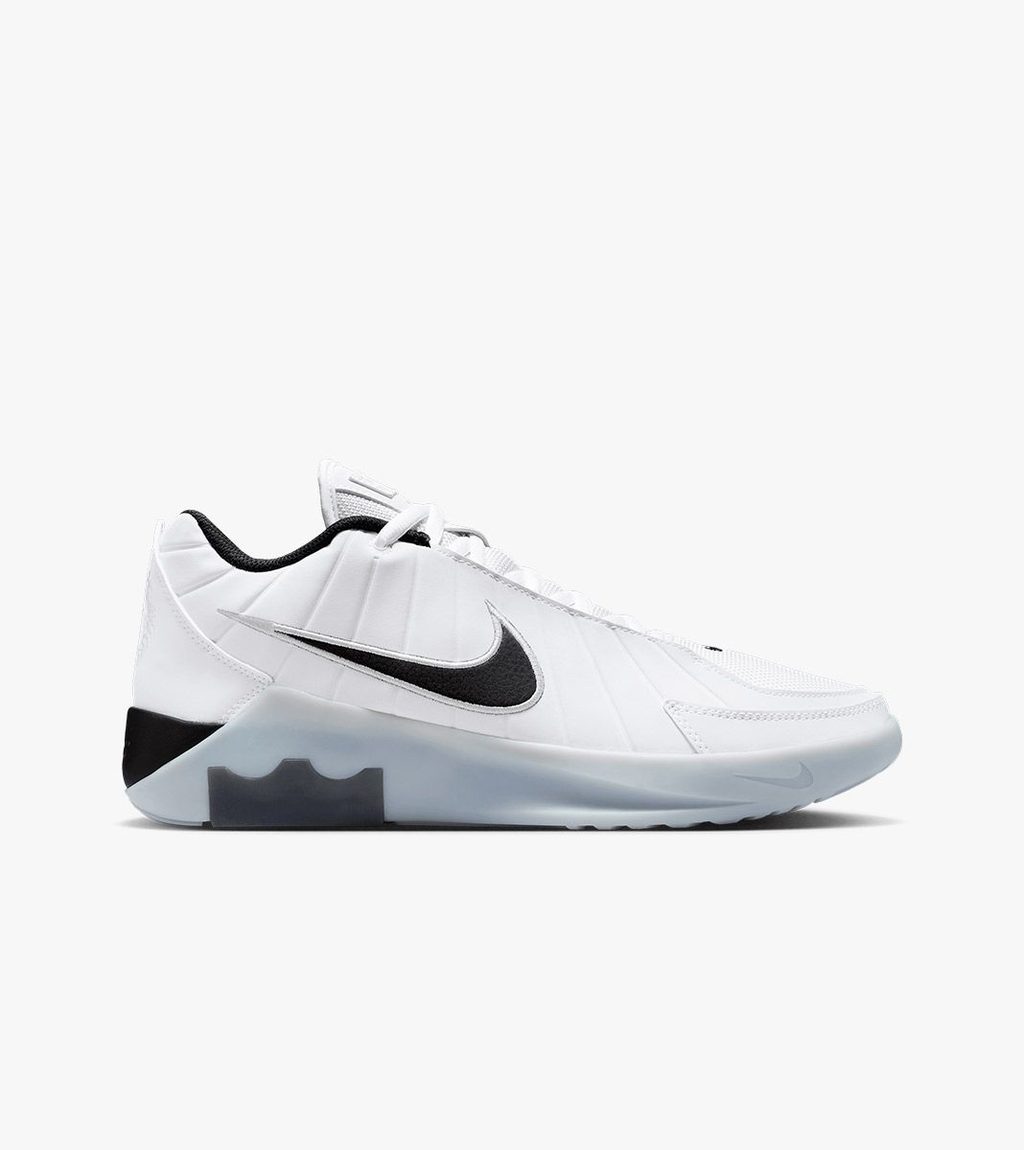 Vitt Lebron witness ix