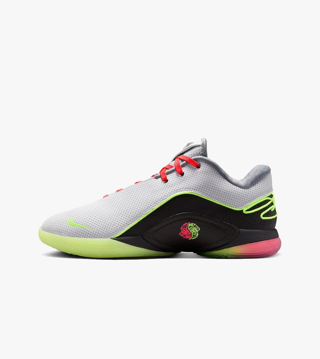 Multicolor LEBRON XXII