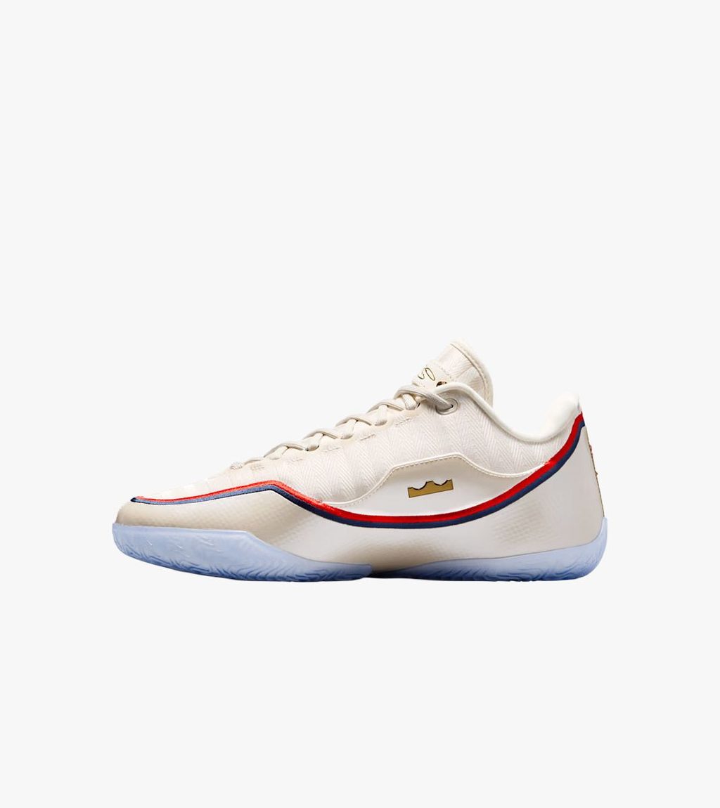 Krāsaina LEBRON XXIII