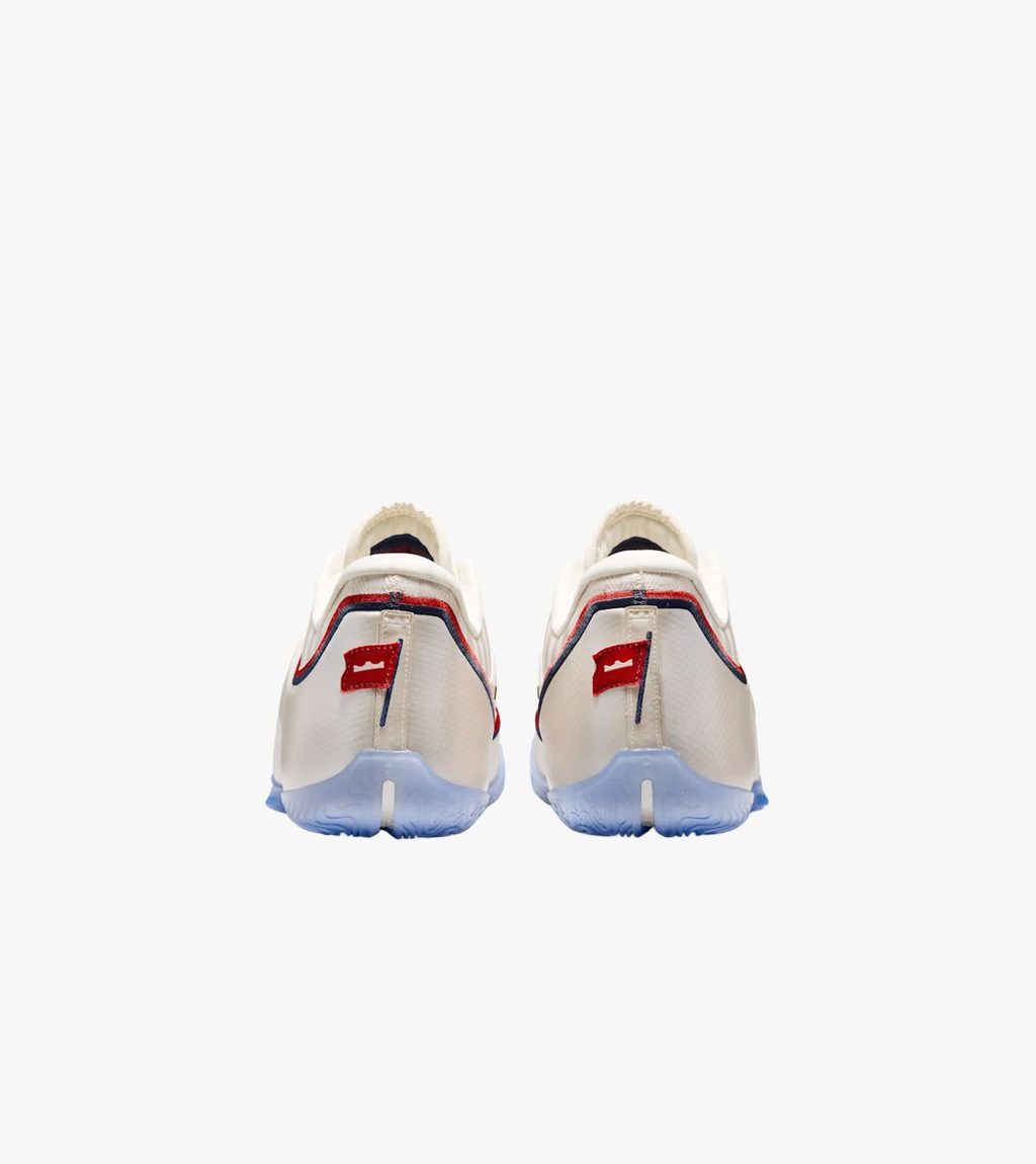 Krāsaina LEBRON XXIII