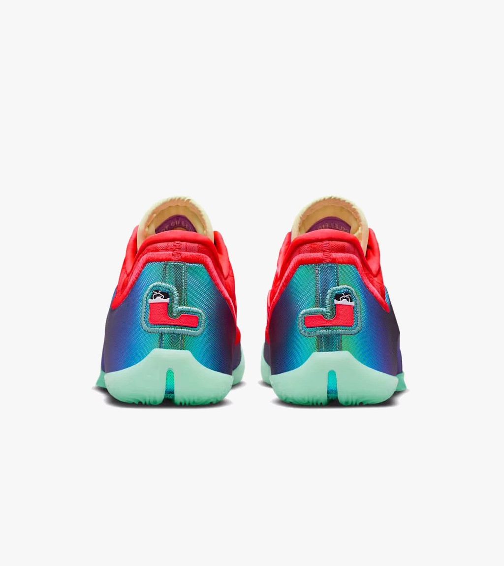 Flerfärgad Lebron xxiiialt