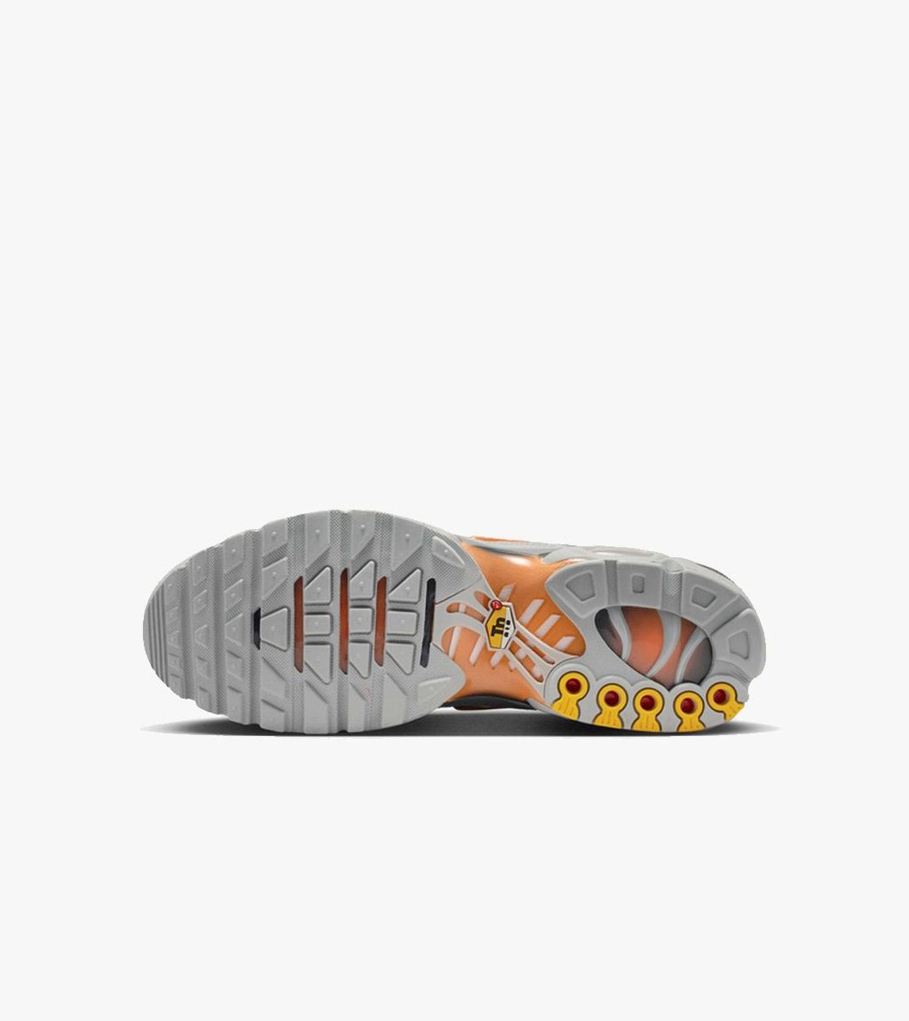 Grått Nike air max plus