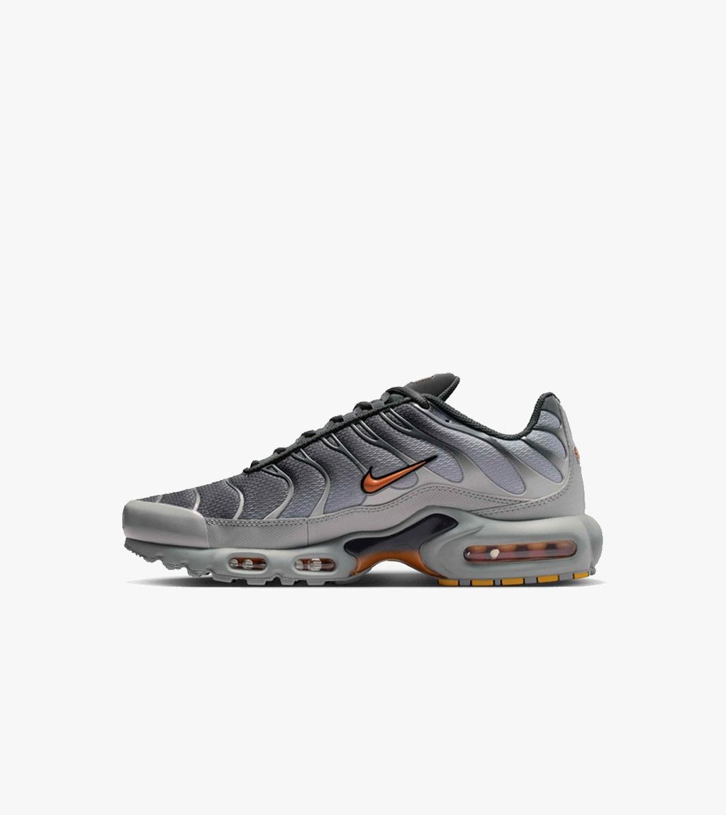 Grått Nike air max plus