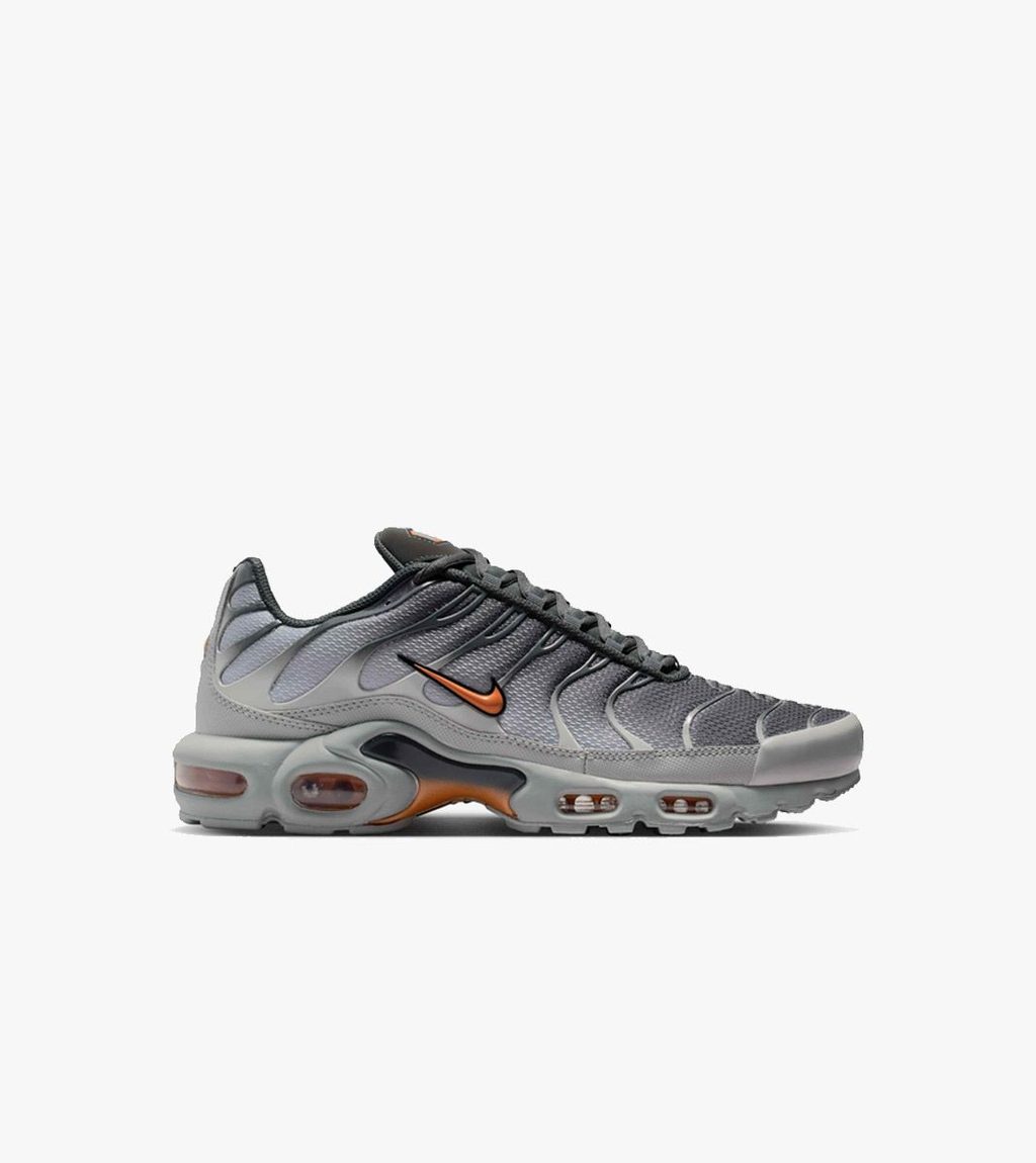 Grått Nike air max plus