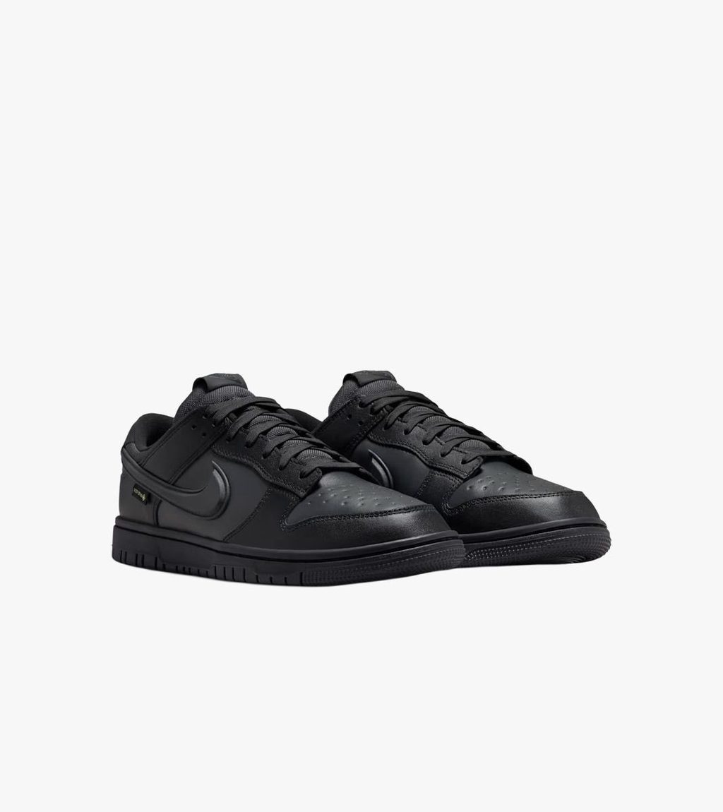Must Nike dunk low gore-tex