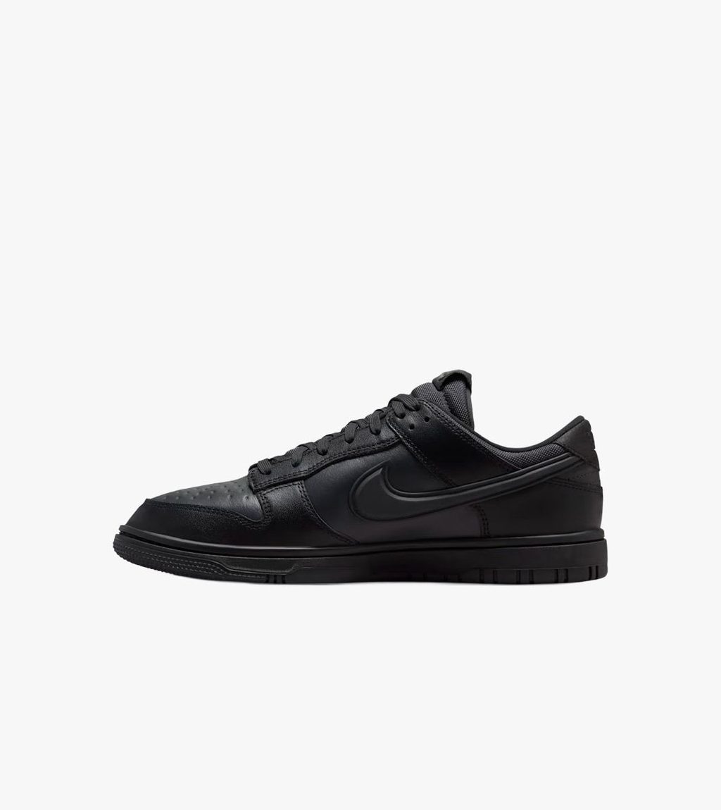 Must Nike dunk low gore-tex