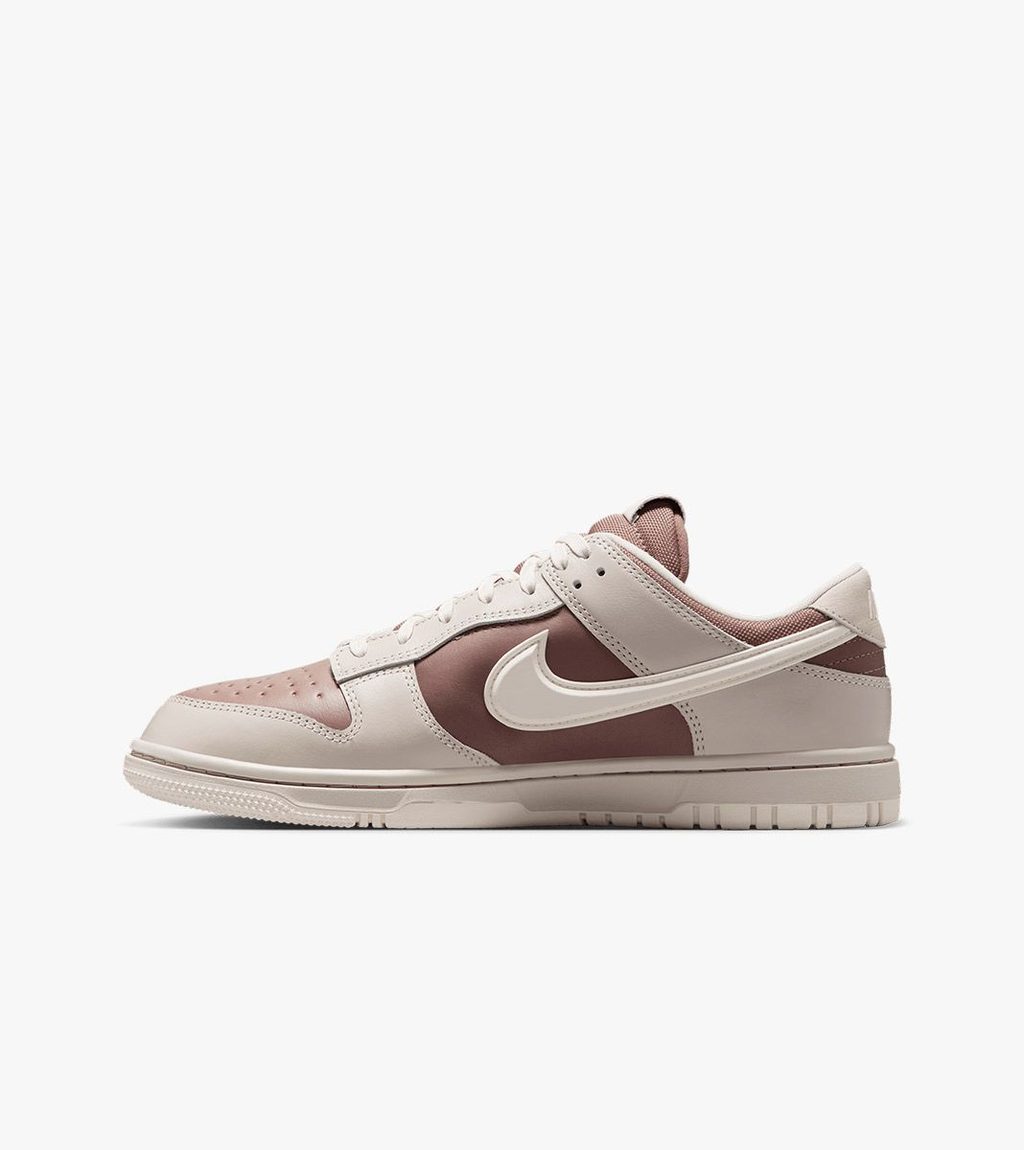 Įvairiaspalvė Nike dunk low goretex