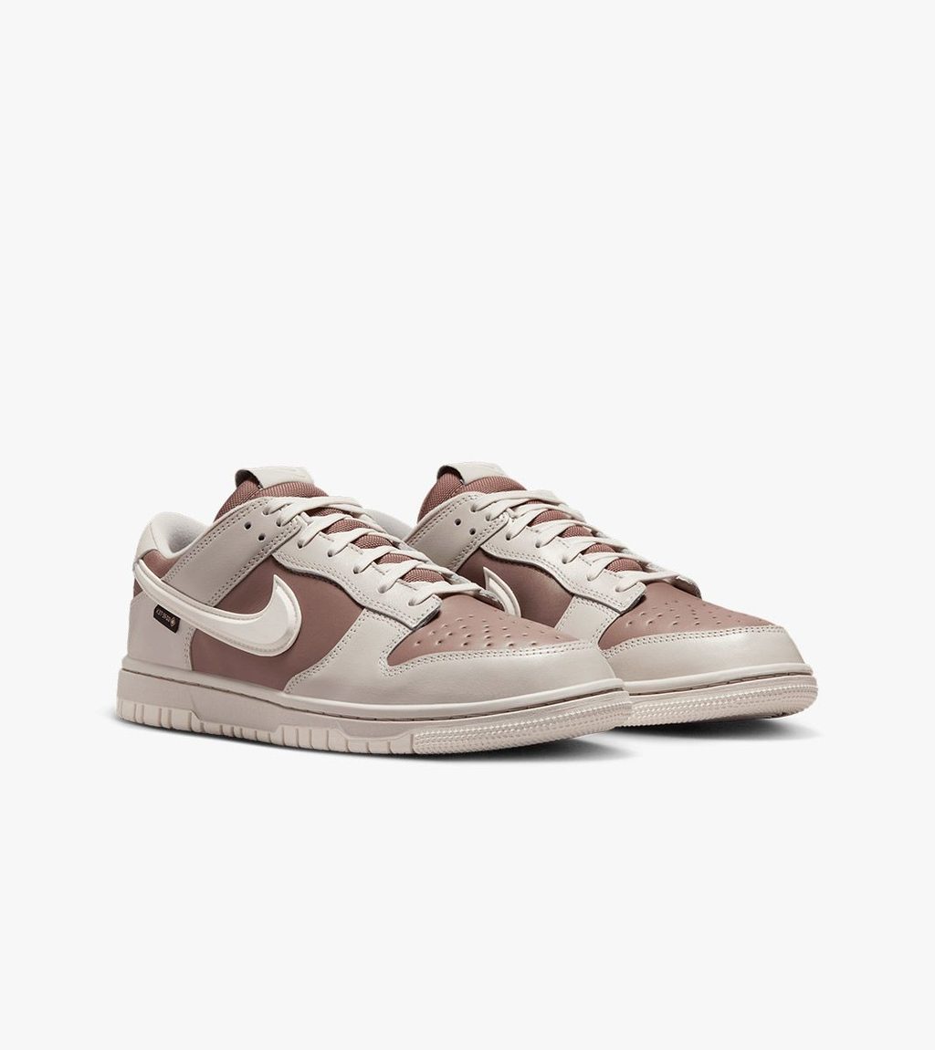 Įvairiaspalvė Nike dunk low goretex
