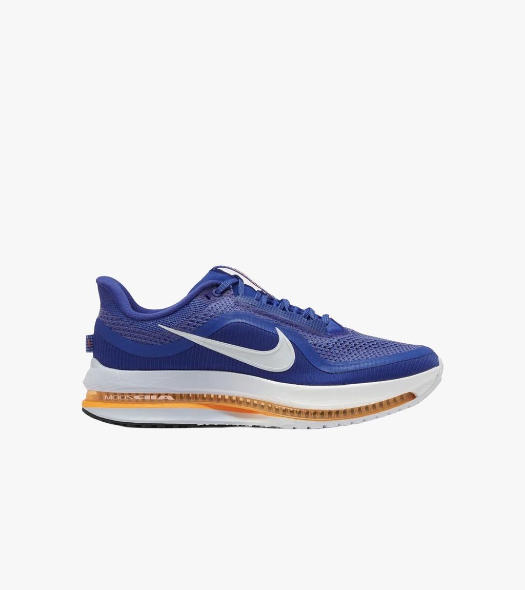 Zila NIKE PEGASUS PREMIUM