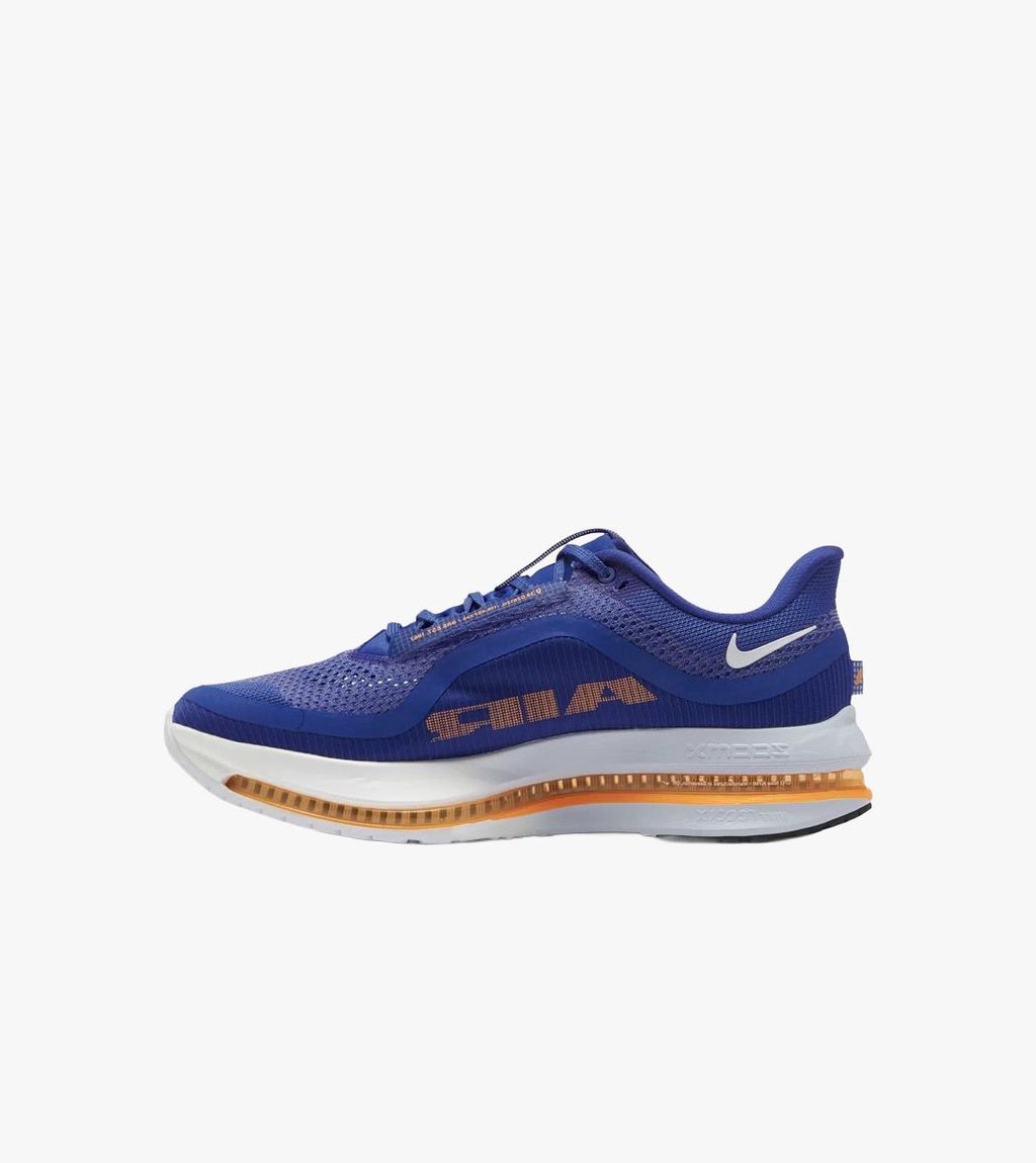 Zila NIKE PEGASUS PREMIUM