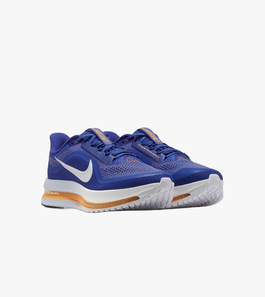 Zila NIKE PEGASUS PREMIUM