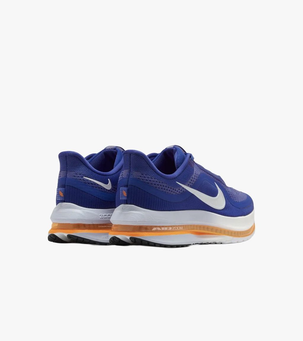 Zila NIKE PEGASUS PREMIUM