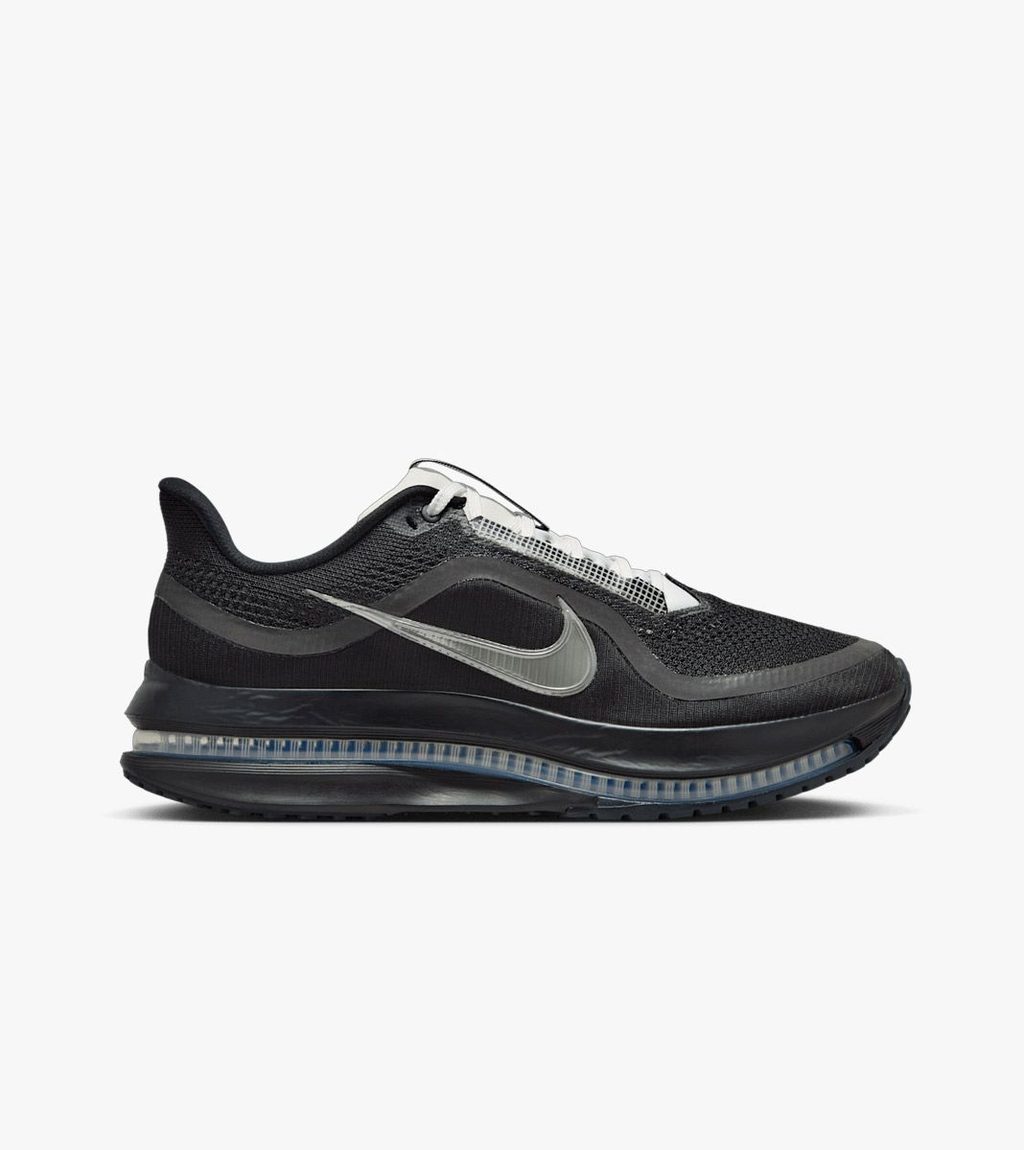 Mitmevärviline W nike pegasus premium