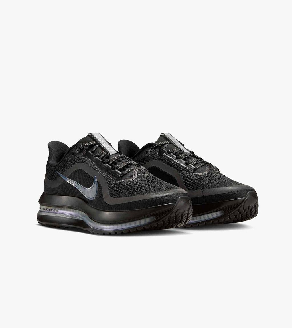 Mitmevärviline W nike pegasus premium