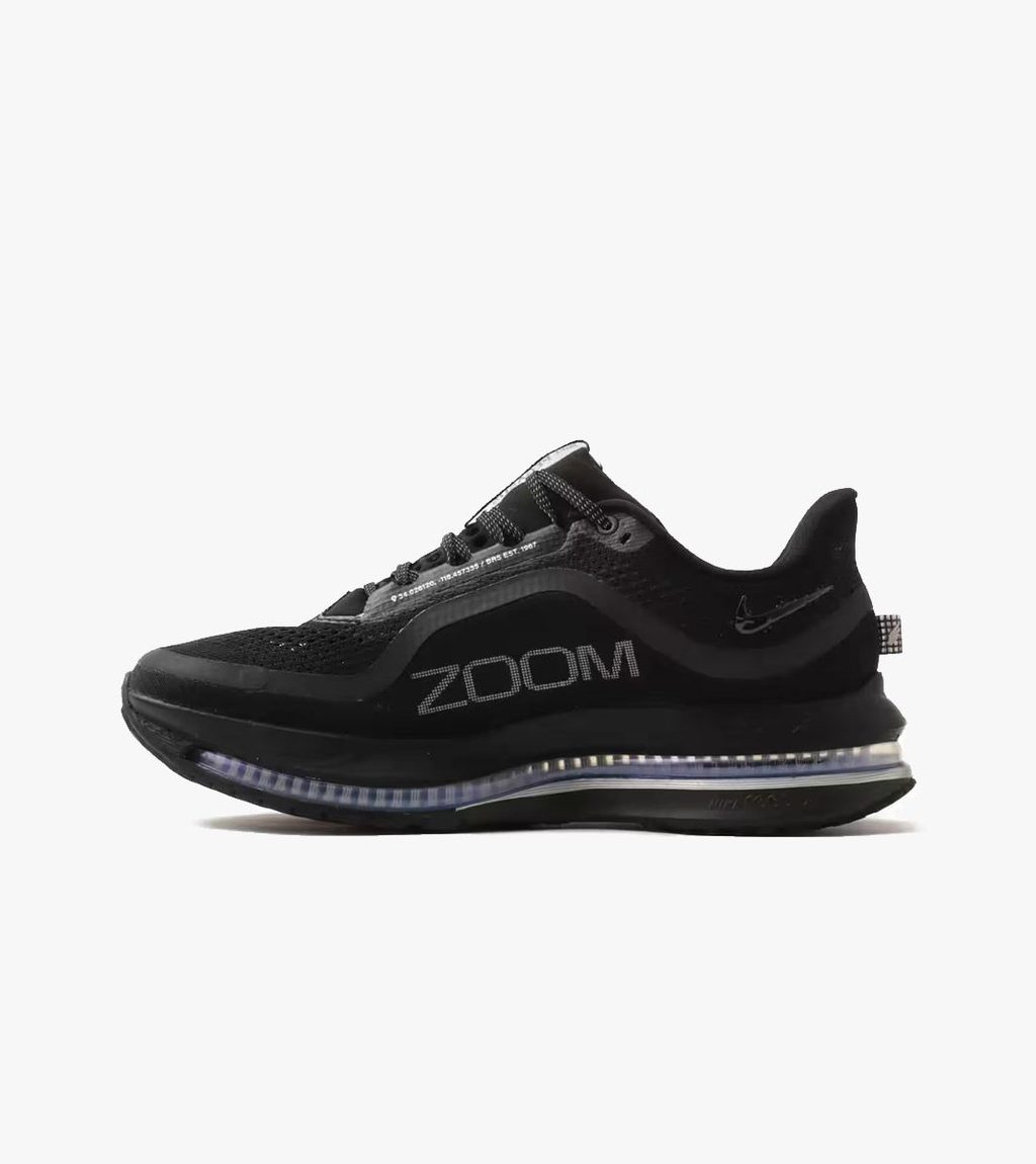 Mitmevärviline W nike pegasus premium
