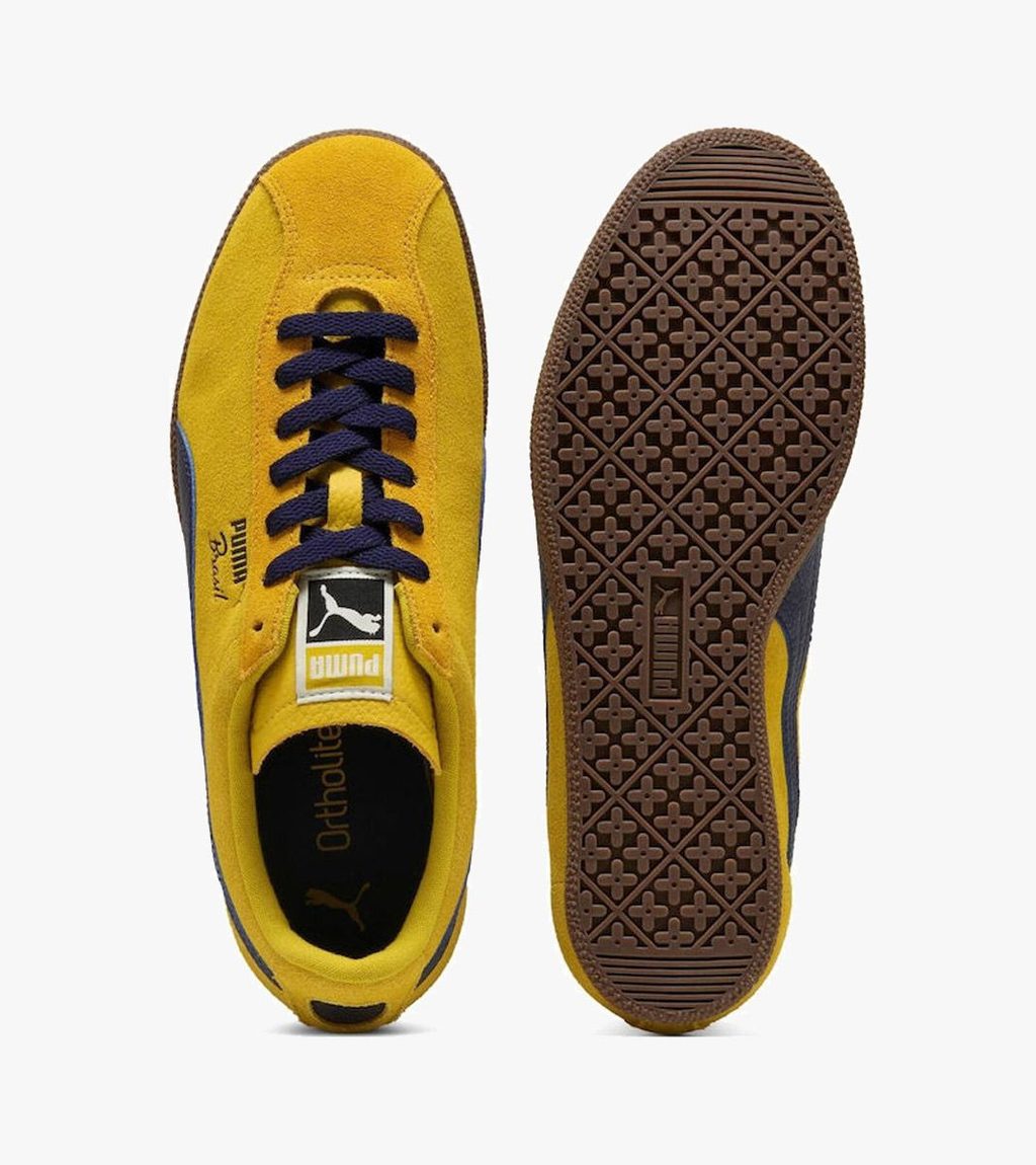 Kollane Brasil lth