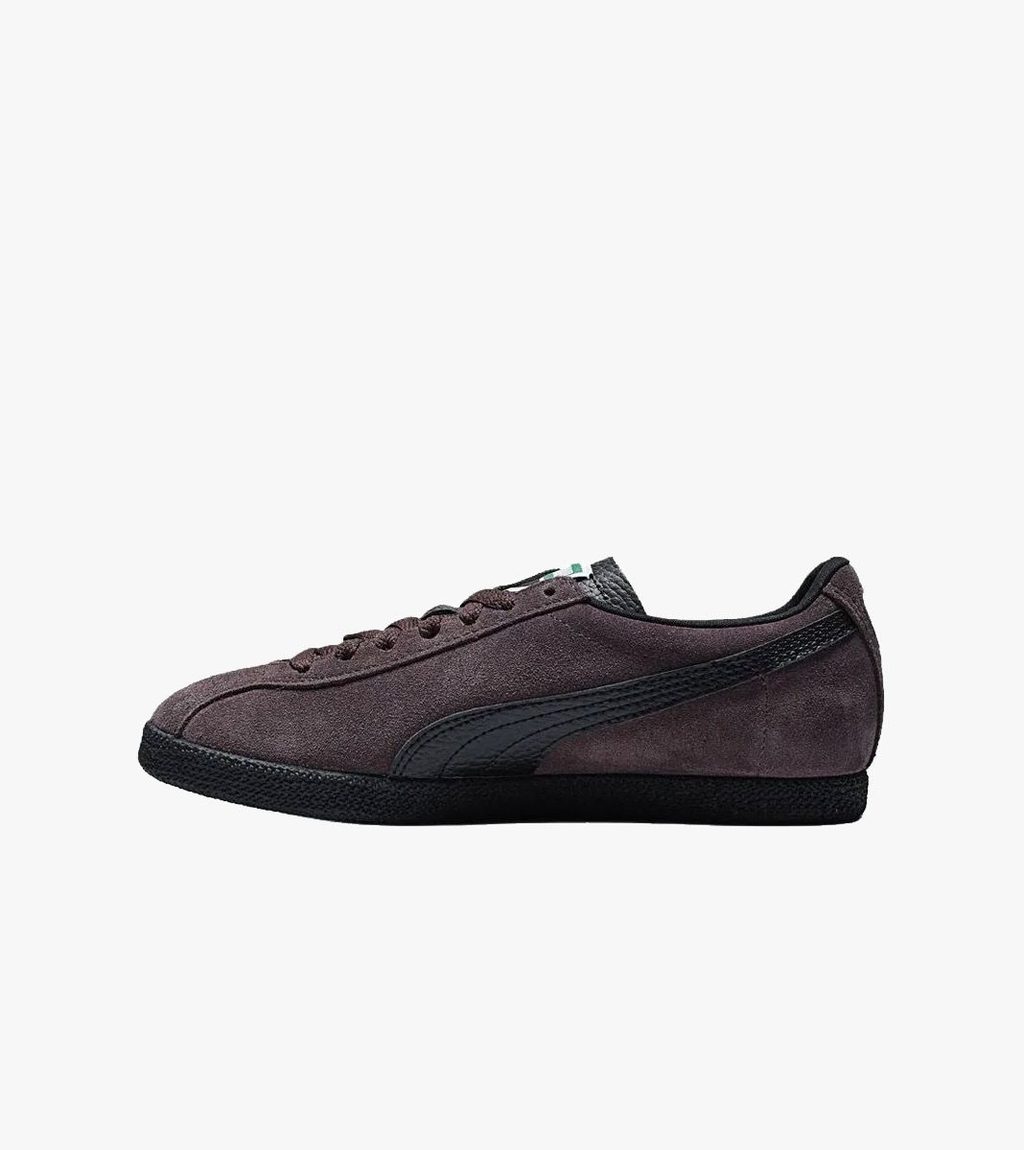 Brown BRASIL LTH