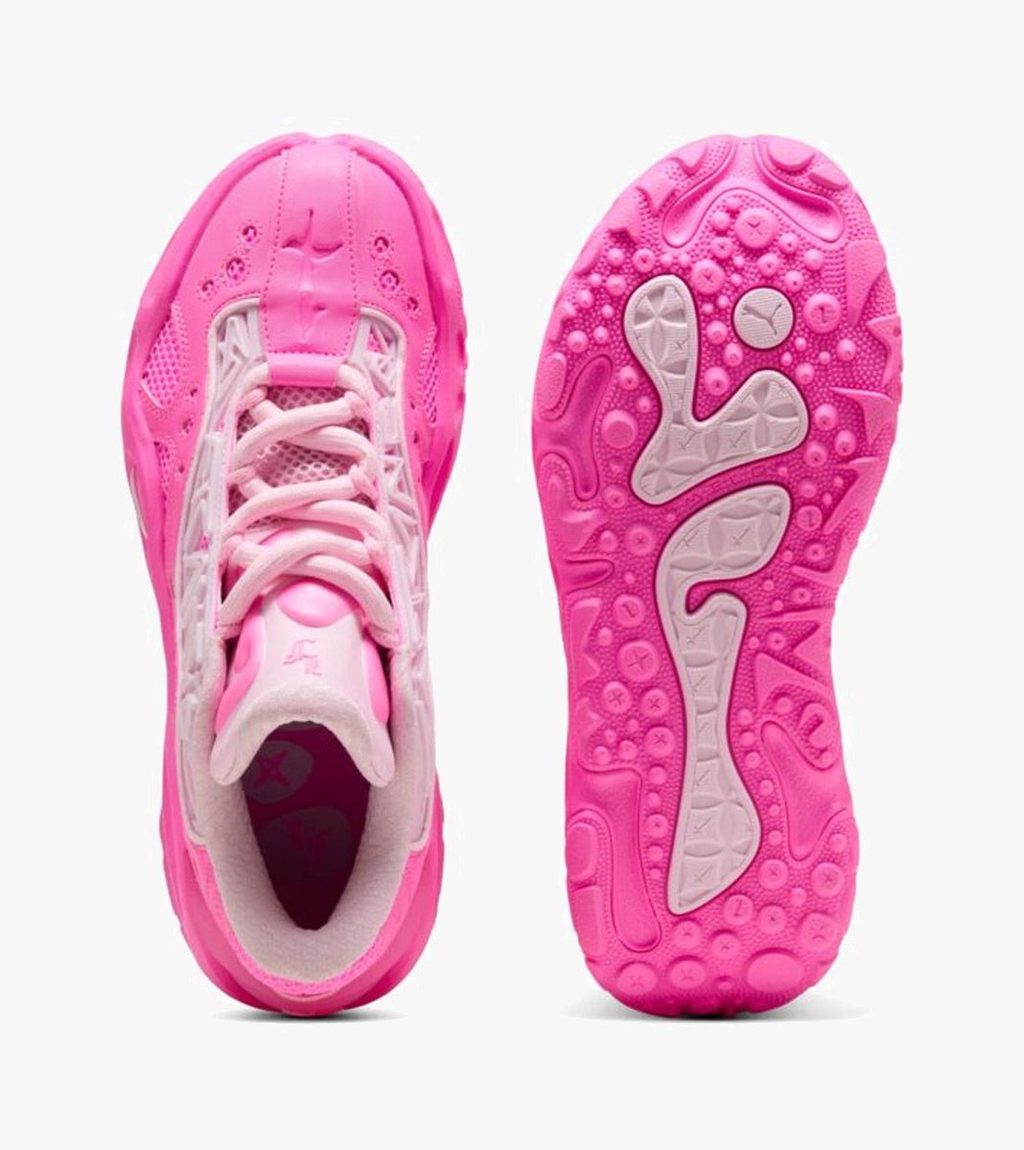 Pinkki LA FRANCE RNR