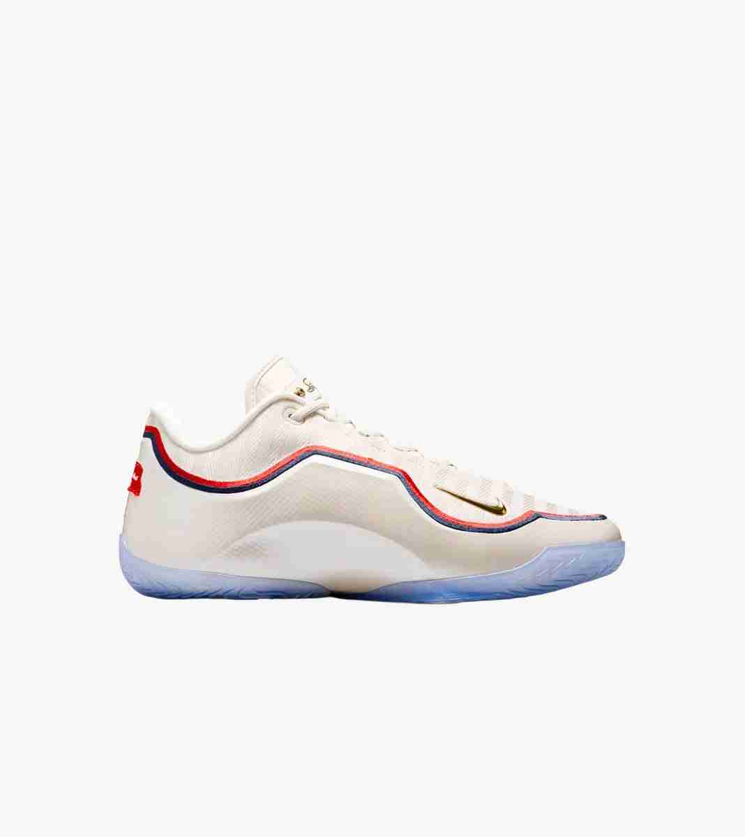 Įvairiaspalvė Lebron xxiii