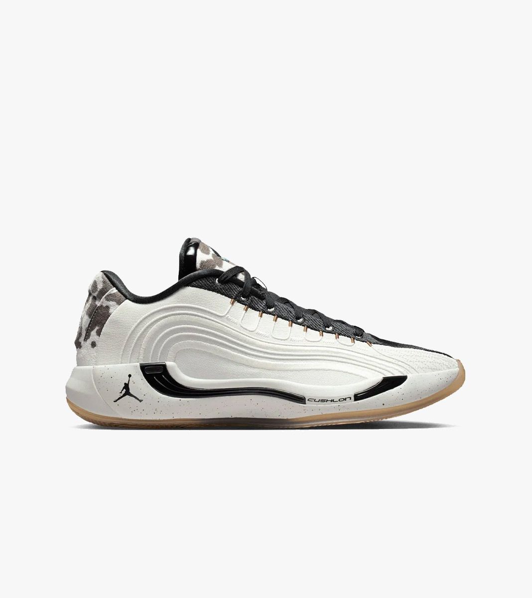 Flerfärgad Jordan luka 4 gone