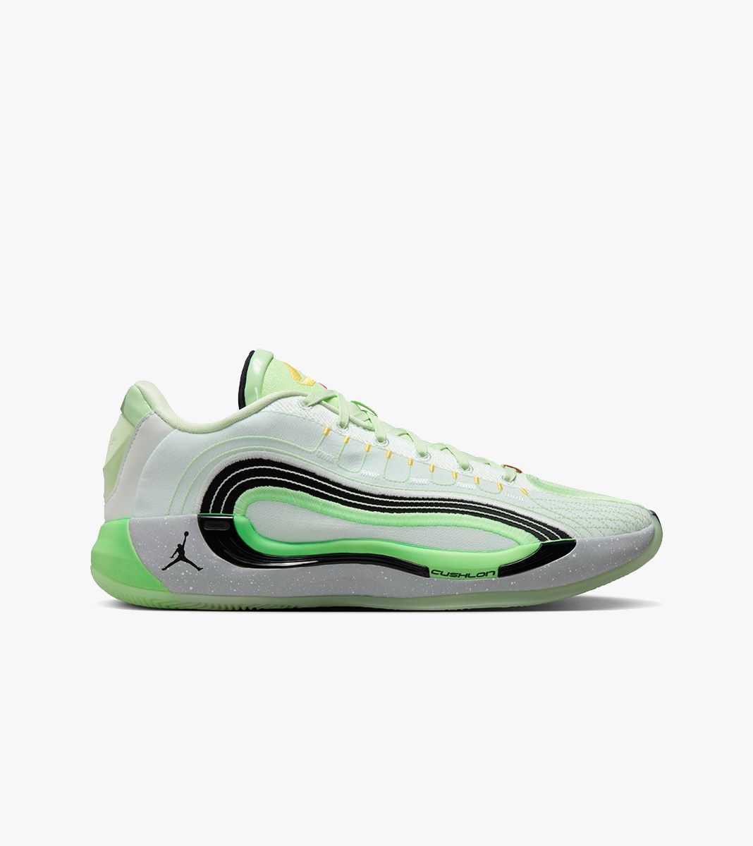 Įvairiaspalvė Jordan luka 4