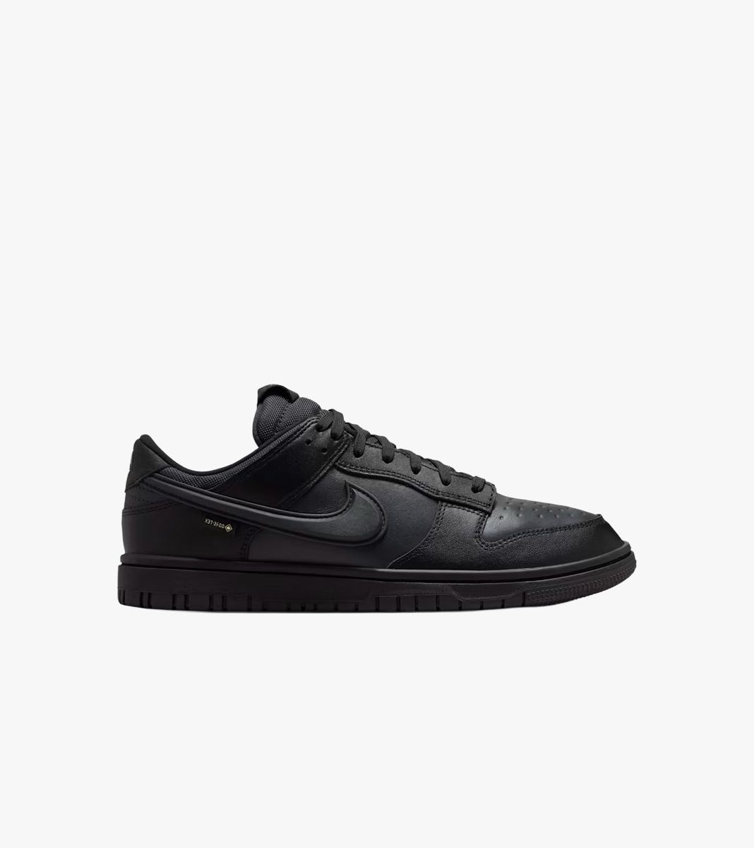 Must Nike dunk low gore-tex