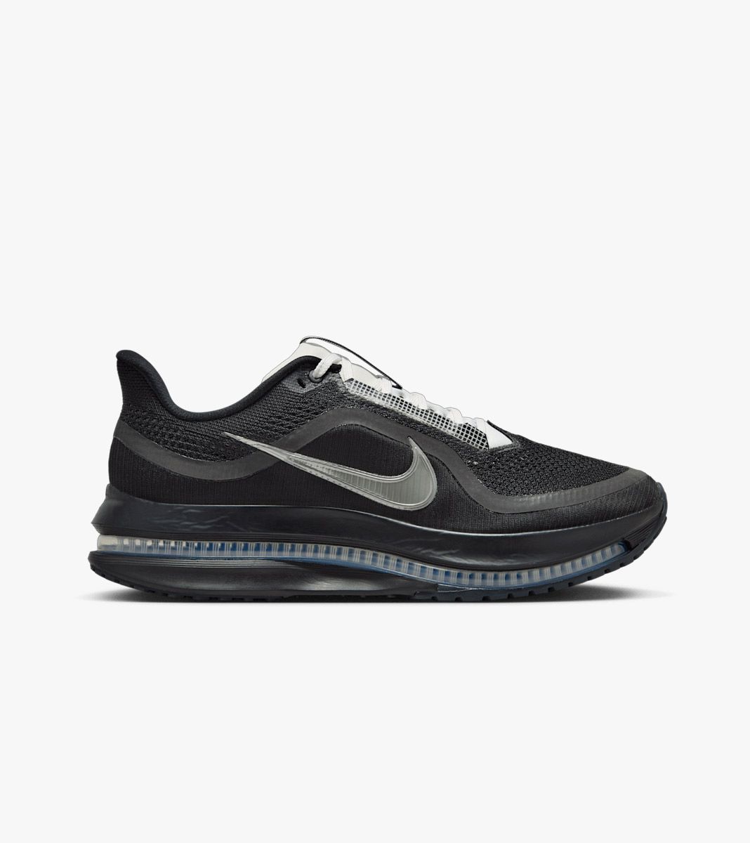 Mitmevärviline W nike pegasus premium