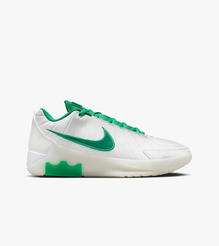 lebron witness ix
