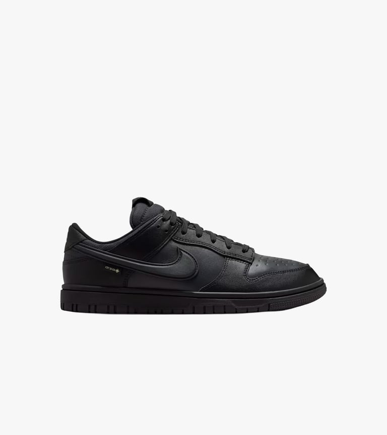 nike dunk low goretex