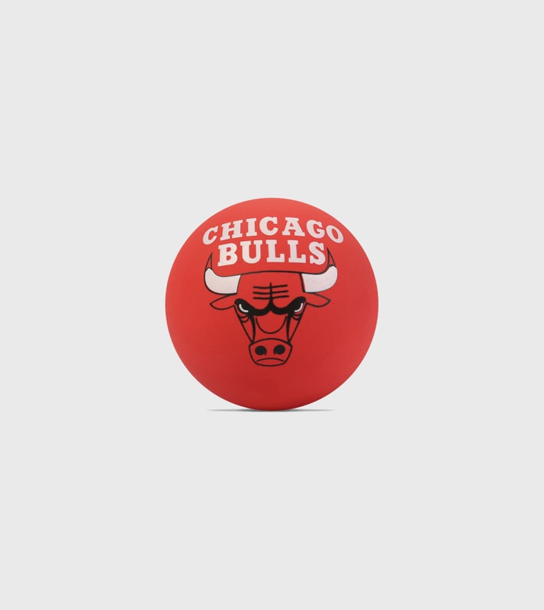 nba spaldeens bulls red