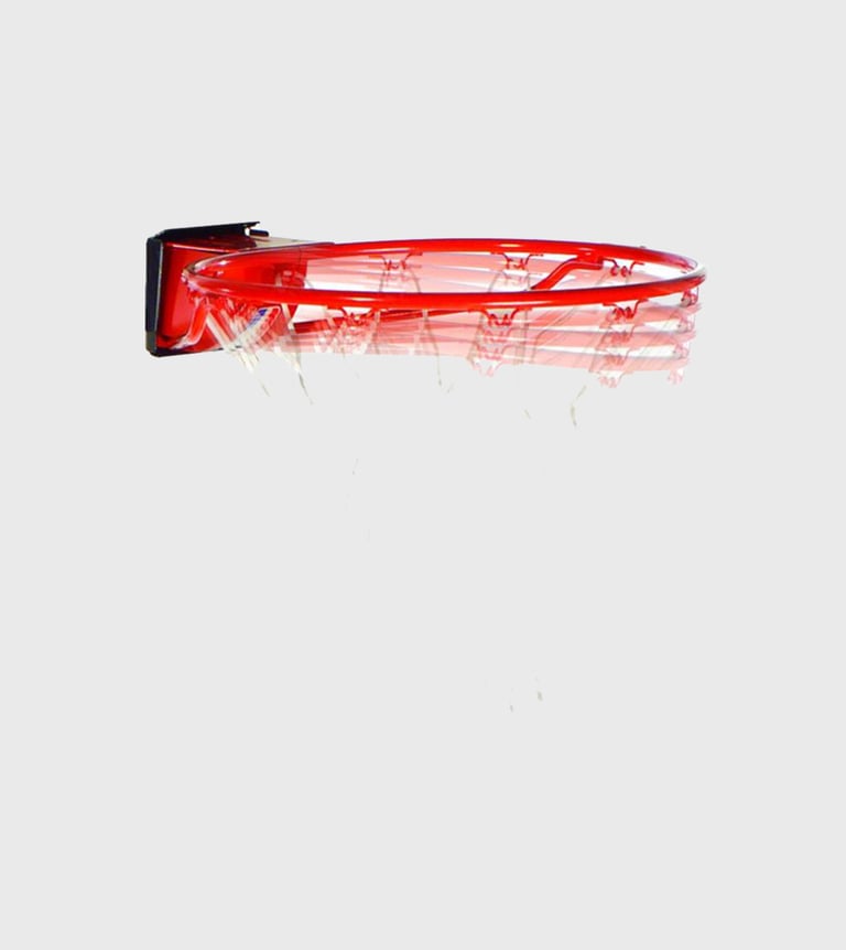 pro slam rim