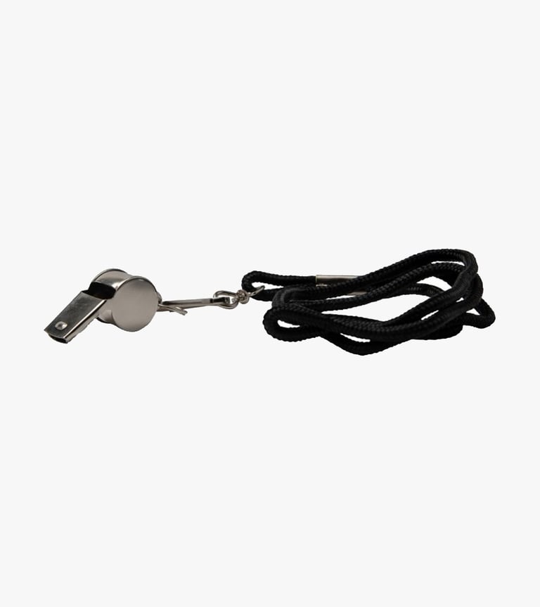 whistle metal w/lanyard